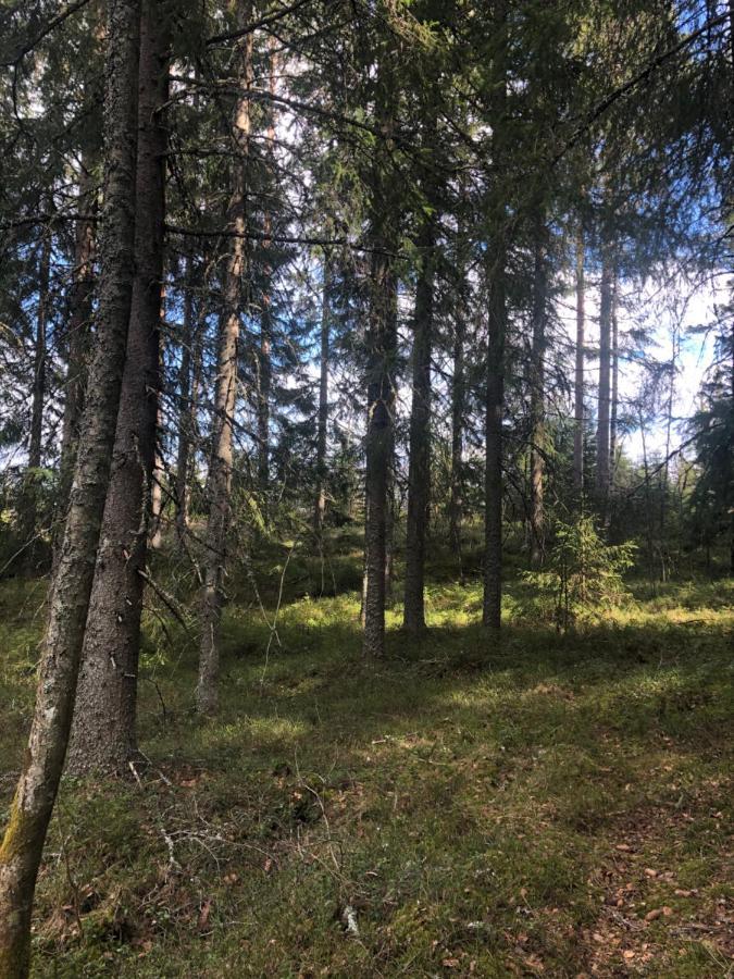 Paradiset Stugan I Fin Skogen Hällefors 外观 照片