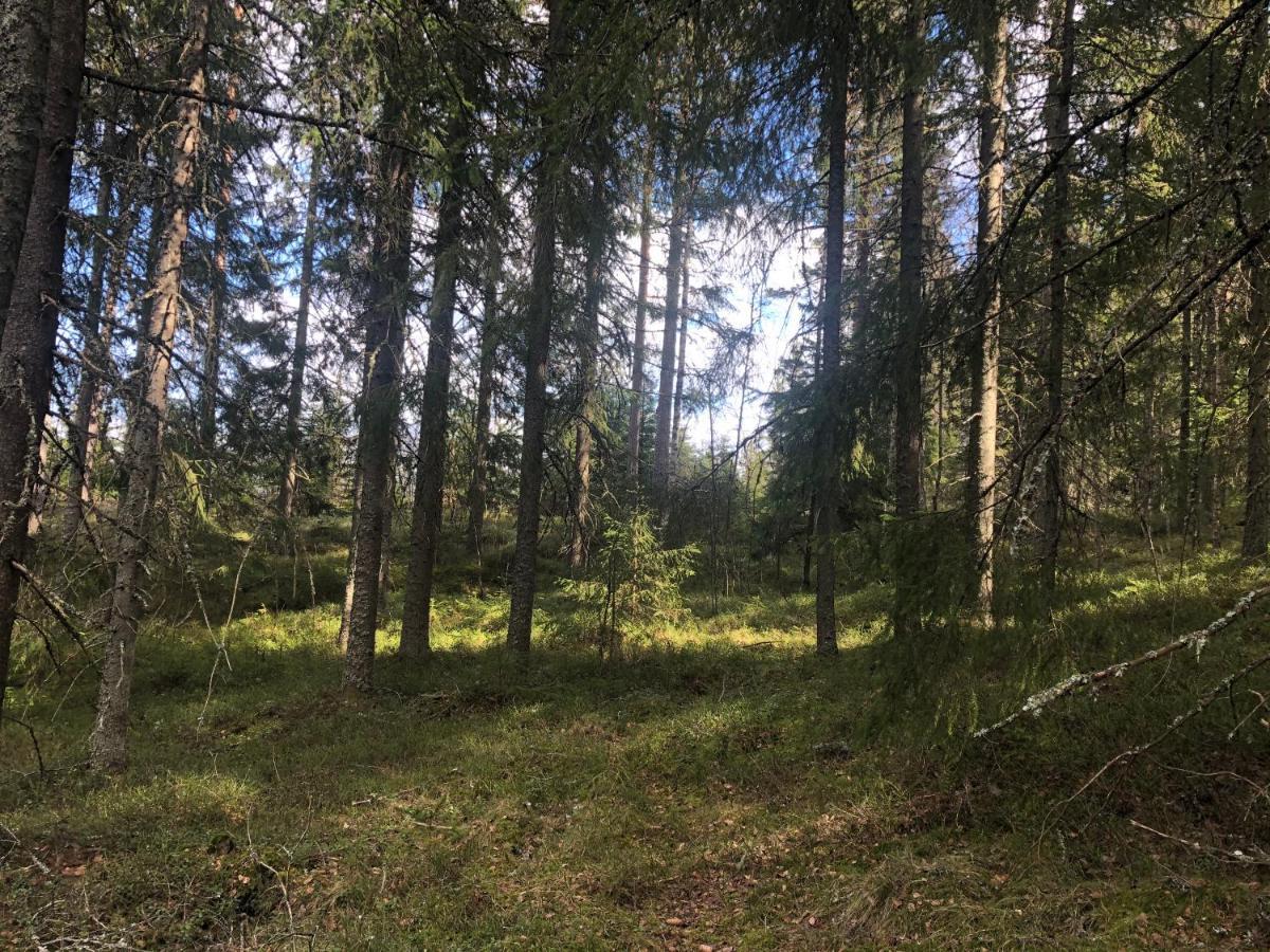 Paradiset Stugan I Fin Skogen Hällefors 外观 照片